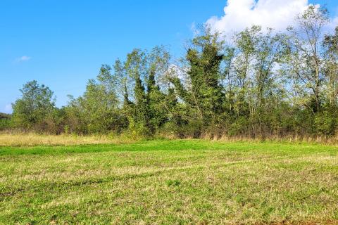 Istra, Umag okolica, negrađevinsko zemljište