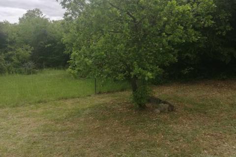 Istra, Loborika 807m2 + 170 m2