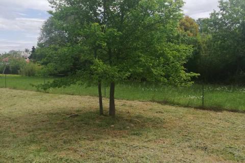 Istra, Loborika 807m2 + 170 m2