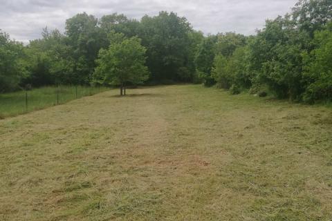 Istra, Loborika 807m2 + 170 m2