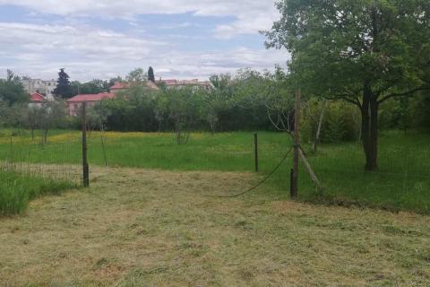 Istra, Loborika 807m2 + 170 m2