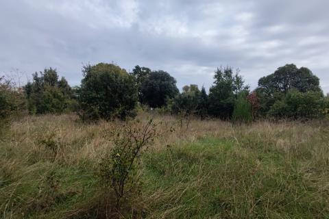 Pula, Veli Vrh - građevinsko zemljište za višestambenu gradnju