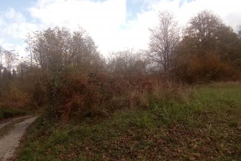 Ogulin-Donje Dubrave, zemljište 11660 m2