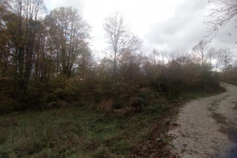 Ogulin-Donje Dubrave, zemljište 11660 m2