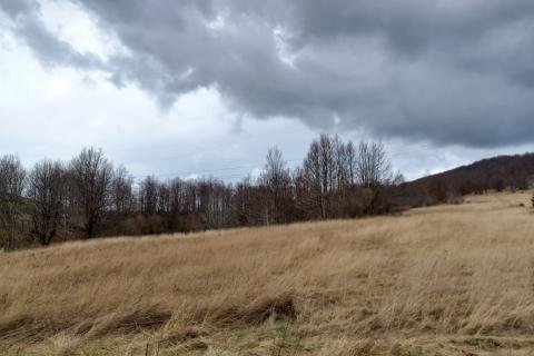 Terreno non edificabile Stari Laz, Ravna Gora, 13.079m2