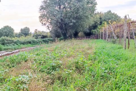 Istra, Valtura - građevinsko zemljište s ucrtanim objektima