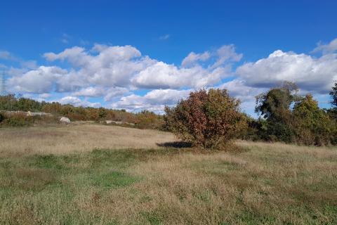 Istra,Filipana, građevinsko zemljište