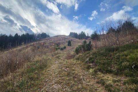 Bauland Sunger, Mrkopalj, 18.172m2