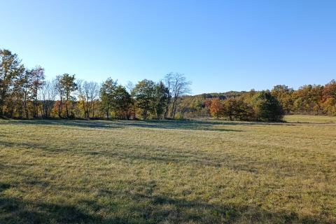 Istra, Barban okolica, lijepo poljoprivredno zemljište površine 3330m2