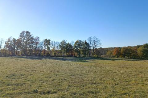 Istra, Barban okolica, lijepo poljoprivredno zemljište površine 3330m2