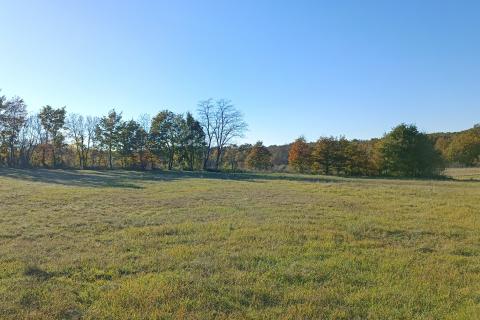 Istra, Barban okolica, lijepo poljoprivredno zemljište površine 3330m2