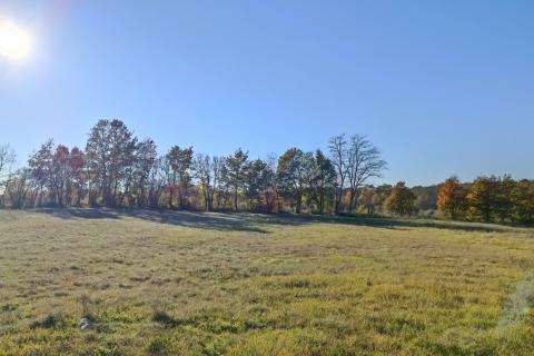 Istra, Barban okolica, lijepo poljoprivredno zemljište površine 3330m2