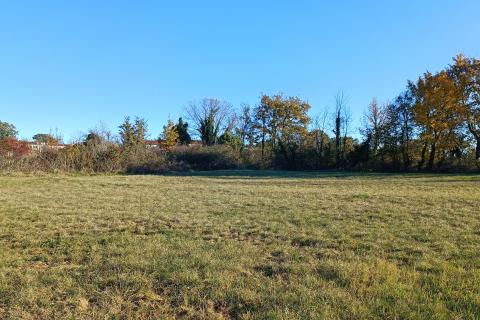 Istra, Barban okolica, lijepo poljoprivredno zemljište površine 3330m2