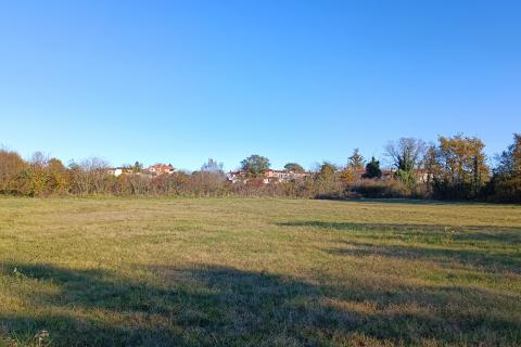 Istra, Barban okolica, lijepo poljoprivredno zemljište površine 3330m2