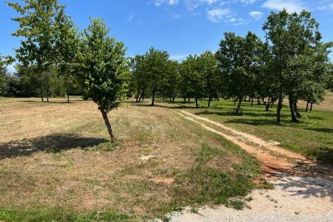 Istra,Sveti Vital ,kompleks građevinskih i poljoprivrednih  zemljišta