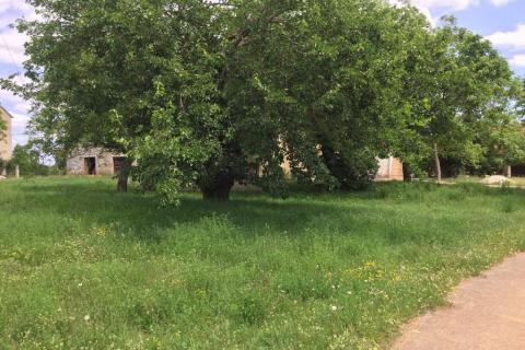 Istra,Sveti Vital ,kompleks građevinskih i poljoprivrednih  zemljišta