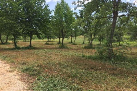 Istra,Sveti Vital ,kompleks građevinskih i poljoprivrednih  zemljišta