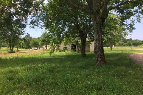 Istra,Sveti Vital ,kompleks građevinskih i poljoprivrednih  zemljišta