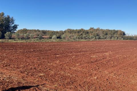Nicht-strukturelle Land Fiorini, Brtonigla, 17.230m2