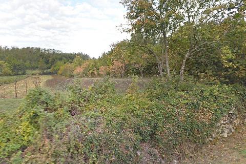 Istra, Motovun - Višnjan, teren s građevinskom dozvolom