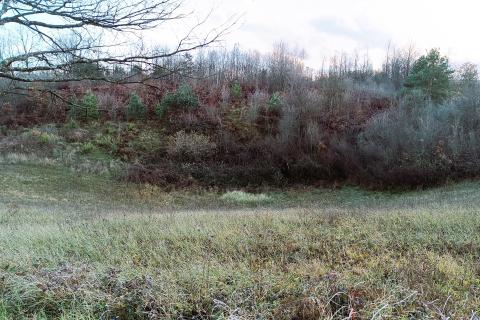 Bauland Donji Nikšić, Slunj, 2.551m2