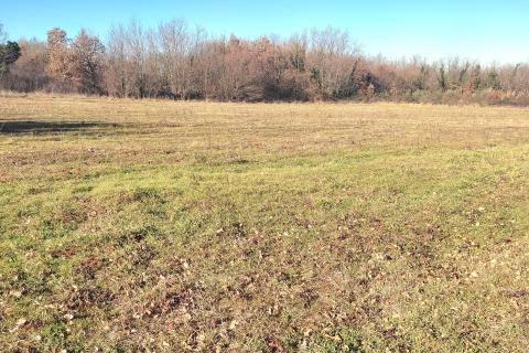 Istra, Umag - građevinsko zemljište stambene namjene 