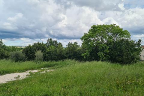 Bauland Kaštelir, Kaštelir-Labinci, 932m2