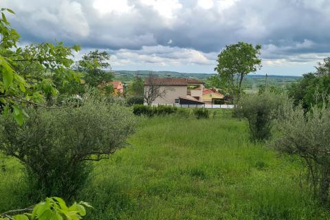 Bauland Kaštelir, Kaštelir-Labinci, 932m2