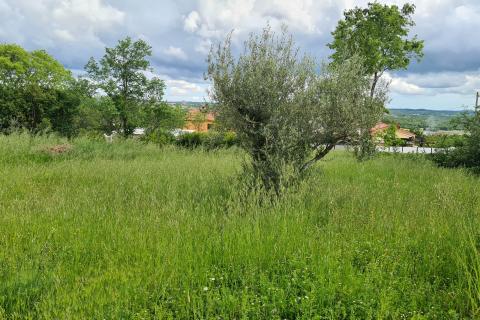 Bauland Kaštelir, Kaštelir-Labinci, 932m2