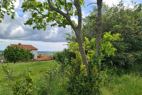 Bauland Kaštelir, Kaštelir-Labinci, 932m2