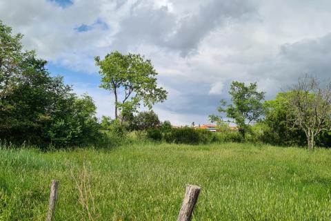 Bauland Kaštelir, Kaštelir-Labinci, 932m2