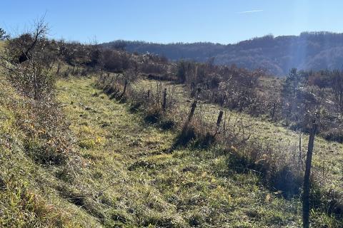 Motovun - okolica, građevinsko-poljoprivredno zemljište predivnog otvorenog pogleda