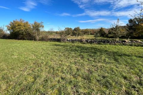 Umag - okolica, kombinacija građevinsko-poljoprivrednog zemljišta u mirnom naselju