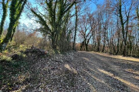 Tinjan - okolica, građevinsko zemljište industrijske namjene