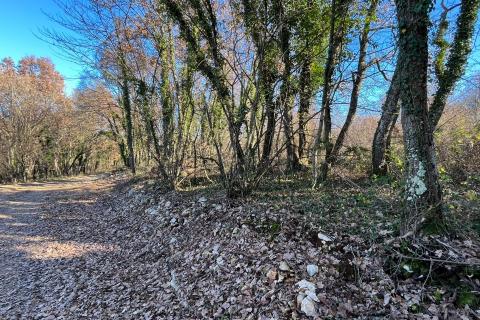 Tinjan - okolica, građevinsko zemljište industrijske namjene