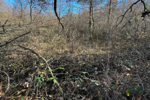 Tinjan - okolica, građevinsko zemljište industrijske namjene