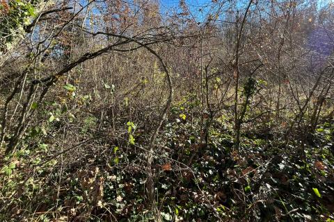 Niet bouwgrond Brečevići, Tinjan, 3.147m2