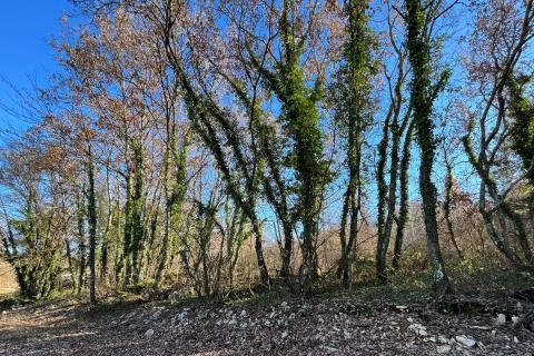 Niet bouwgrond Brečevići, Tinjan, 3.147m2