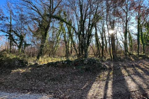 Niet bouwgrond Brečevići, Tinjan, 3.147m2