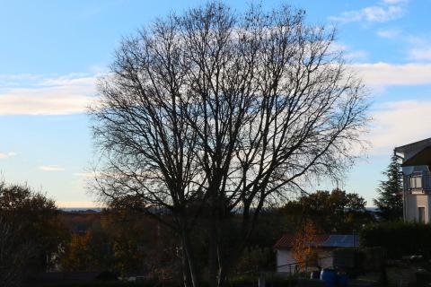 POREČ-građevinska parcela s pogledom na more