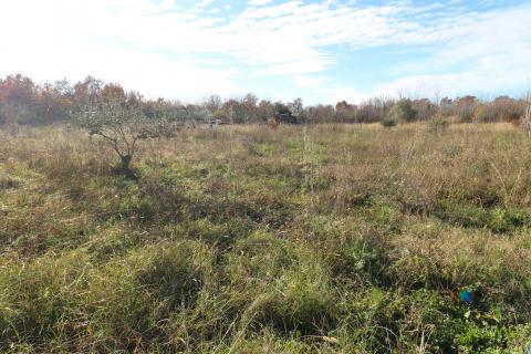 KAŠTELIR-poljoprivredna parcela