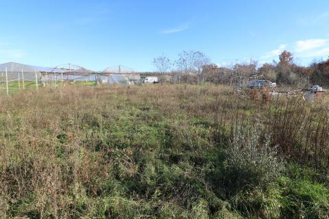 KAŠTELIR-poljoprivredna parcela