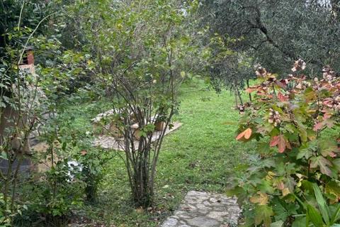 Istra,Kaštel-Buje,šarmantna kamena kuća u velikoj zelenoj oazi