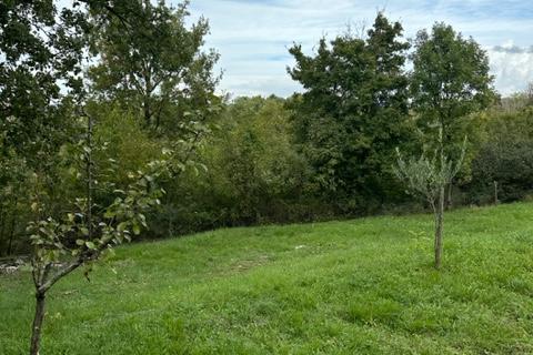 Istra,Kaštel-Buje,šarmantna kamena kuća u velikoj zelenoj oazi