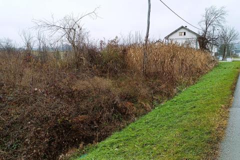 Bauland Skakavac, Karlovac - Okolica, 3.225m2