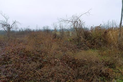 Bauland Skakavac, Karlovac - Okolica, 3.225m2