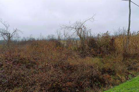 Bauland Skakavac, Karlovac - Okolica, 3.225m2