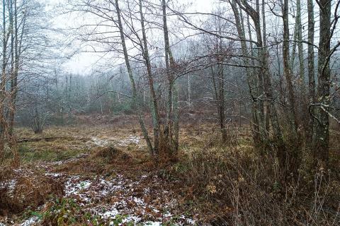 Stavbno zemljišče Skakavac, Karlovac - Okolica, 8.232m2