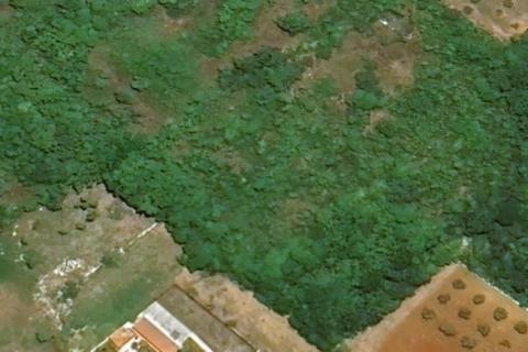 TAR-zemljište pred urbanizacijom