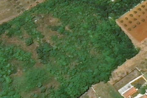 TAR-zemljište pred urbanizacijom